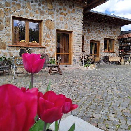 Pokoje Goscinne Skalnik - Agroturystyka Kostrzyn nad Odra Exterior foto