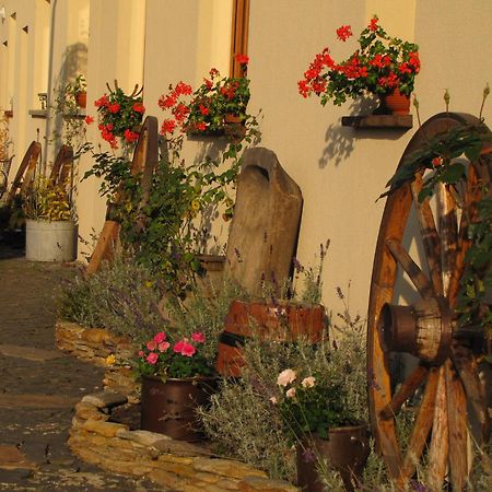Pokoje Goscinne Skalnik - Agroturystyka Kostrzyn nad Odra Exterior foto