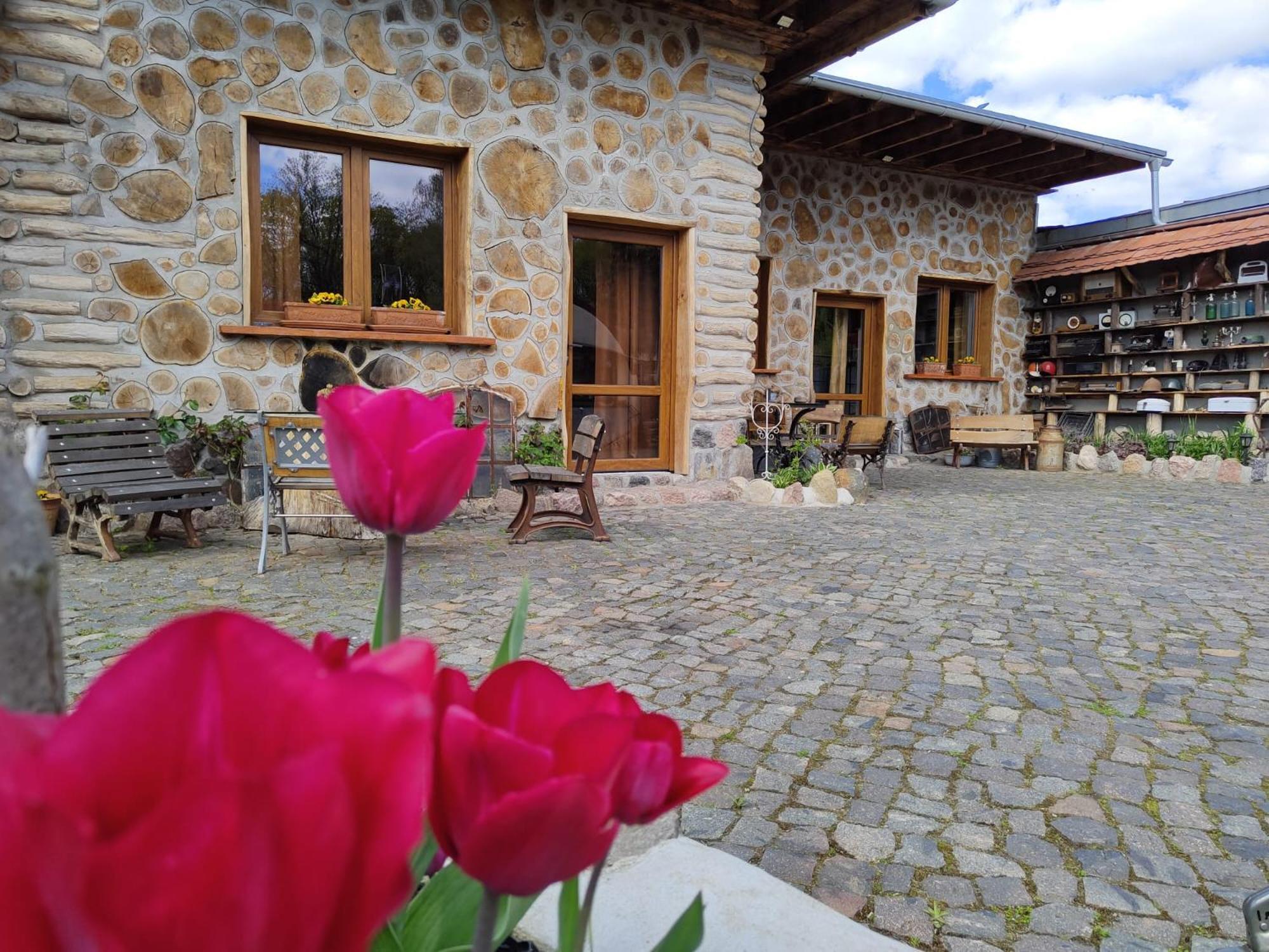Pokoje Goscinne Skalnik - Agroturystyka Kostrzyn nad Odra Exterior foto