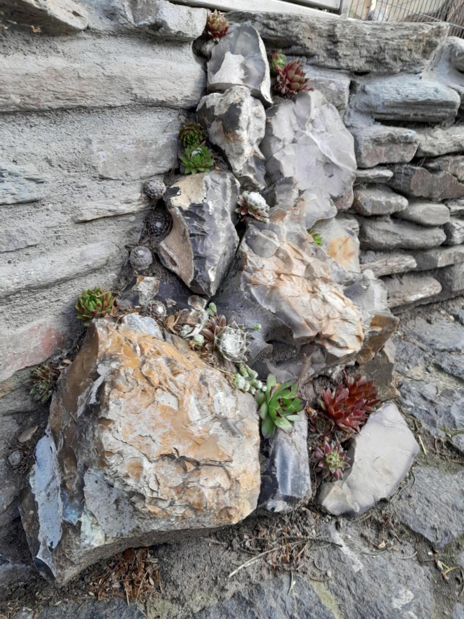 Pokoje Goscinne Skalnik - Agroturystyka Kostrzyn nad Odra Exterior foto