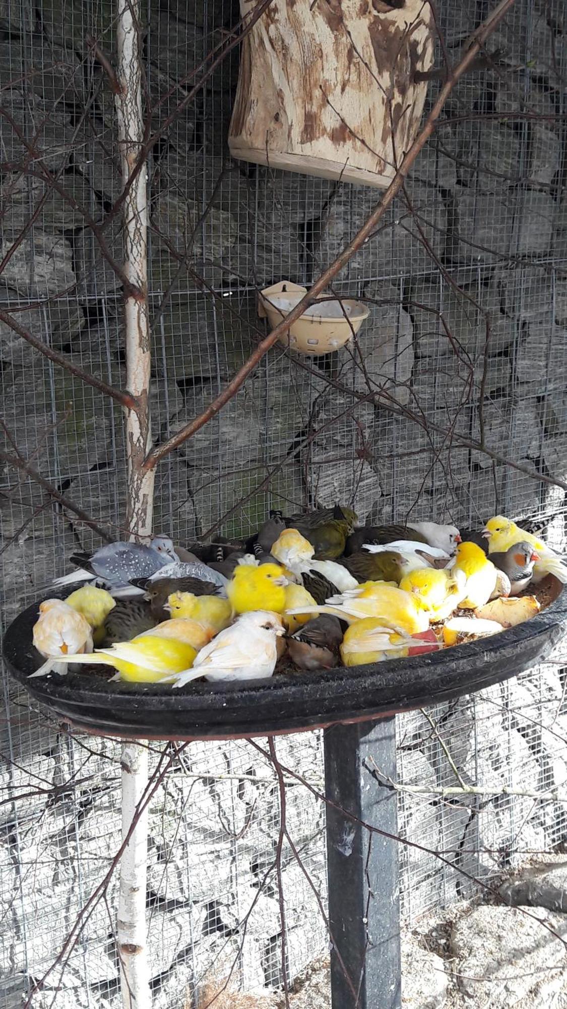 Pokoje Goscinne Skalnik - Agroturystyka Kostrzyn nad Odra Exterior foto