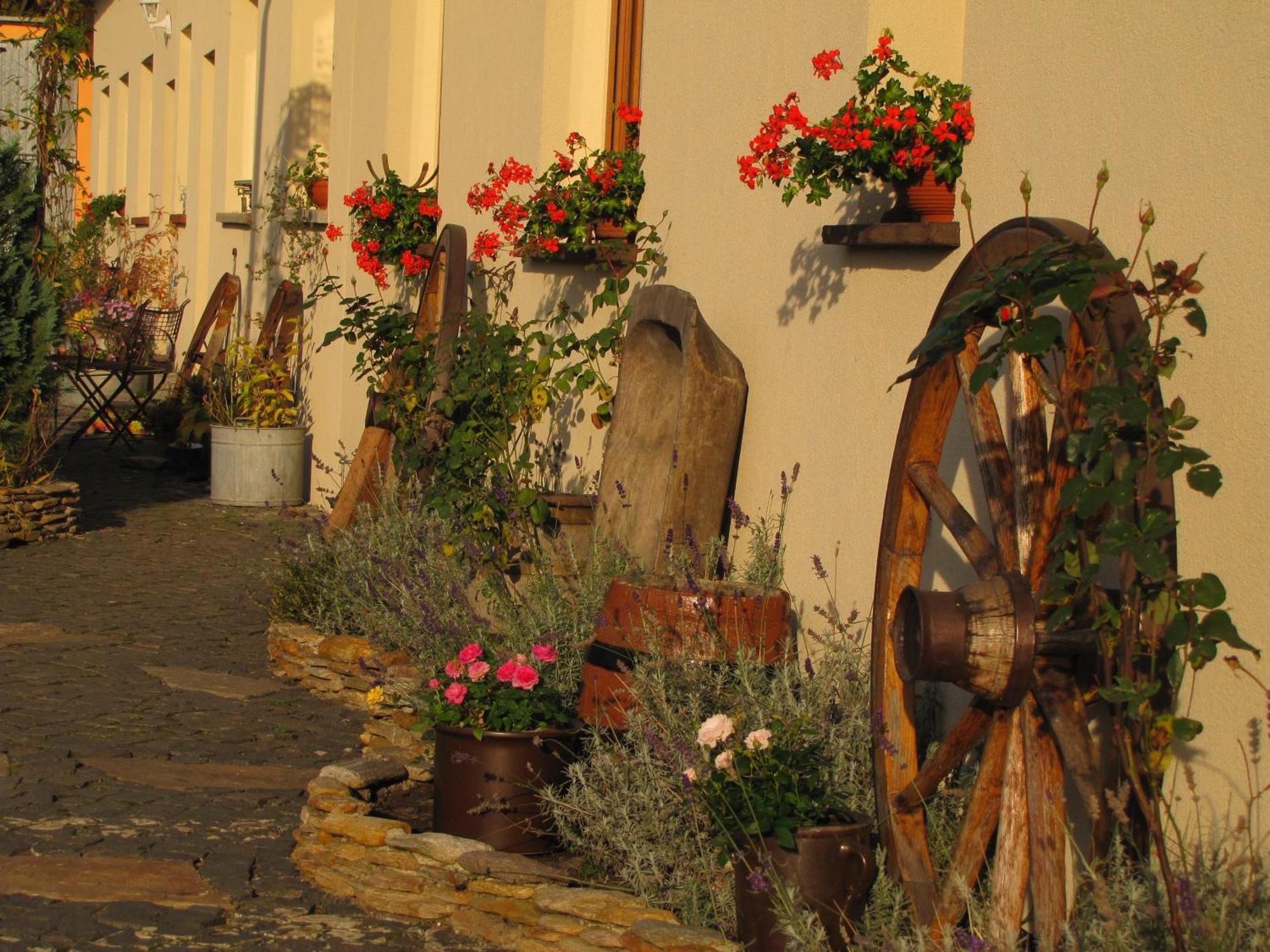 Pokoje Goscinne Skalnik - Agroturystyka Kostrzyn nad Odra Exterior foto
